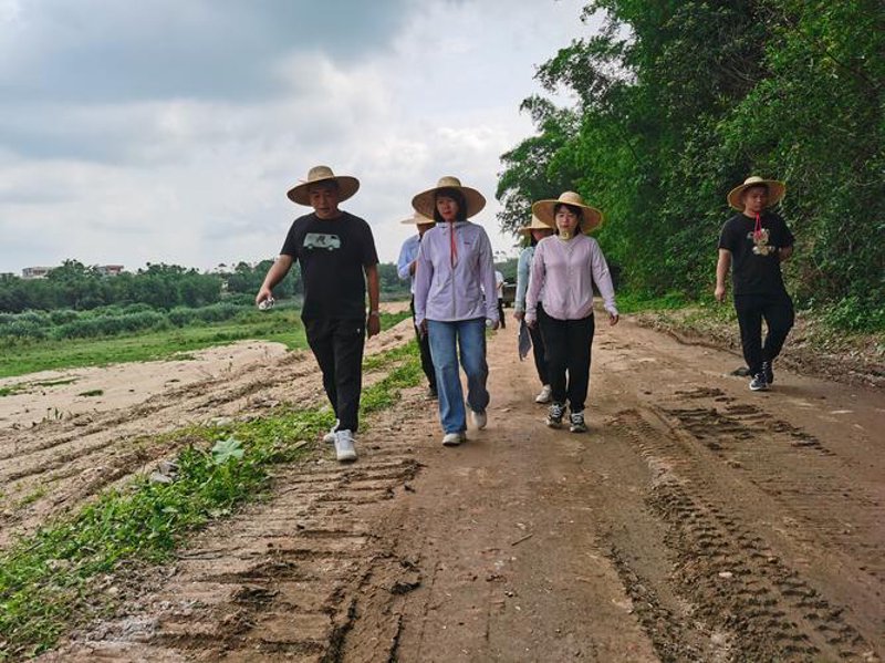 屯昌软件定制：开启信息化时代新旅程